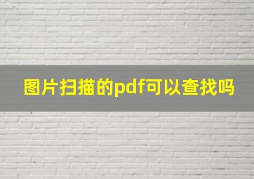 图片扫描的pdf可以查找吗