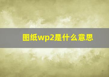 图纸wp2是什么意思