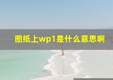 图纸上wp1是什么意思啊