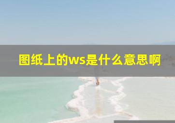 图纸上的ws是什么意思啊