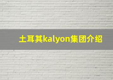 土耳其kalyon集团介绍