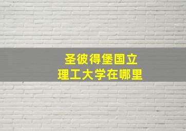 圣彼得堡国立理工大学在哪里