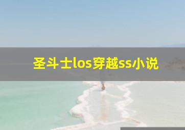 圣斗士los穿越ss小说