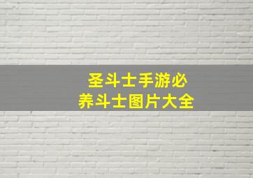 圣斗士手游必养斗士图片大全