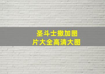 圣斗士撒加图片大全高清大图