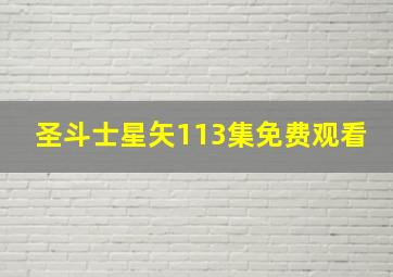 圣斗士星矢113集免费观看