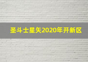 圣斗士星矢2020年开新区