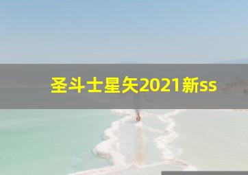 圣斗士星矢2021新ss