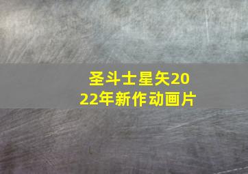 圣斗士星矢2022年新作动画片