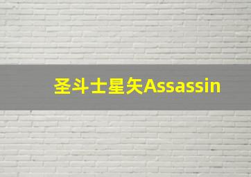 圣斗士星矢Assassin