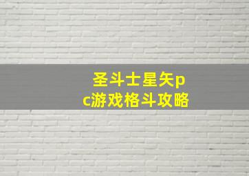 圣斗士星矢pc游戏格斗攻略