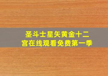 圣斗士星矢黄金十二宫在线观看免费第一季