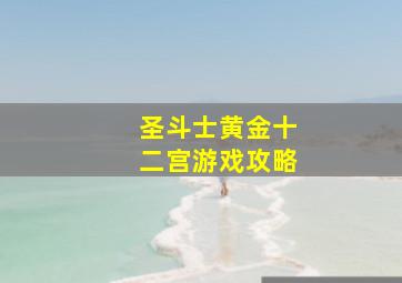 圣斗士黄金十二宫游戏攻略