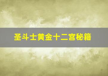 圣斗士黄金十二宫秘籍