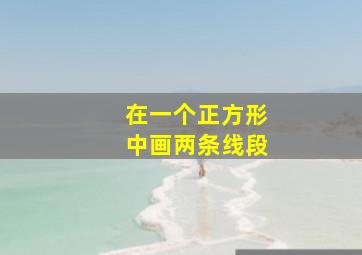 在一个正方形中画两条线段