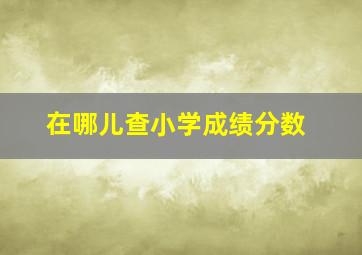 在哪儿查小学成绩分数