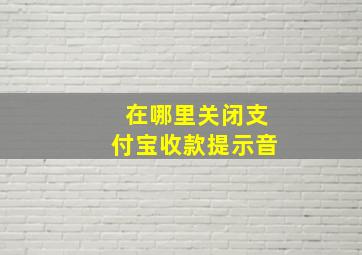 在哪里关闭支付宝收款提示音