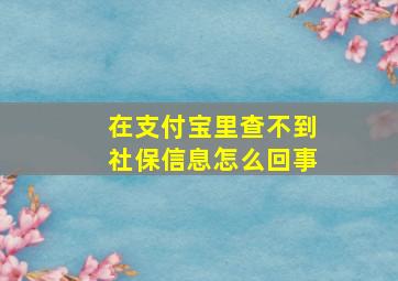 在支付宝里查不到社保信息怎么回事