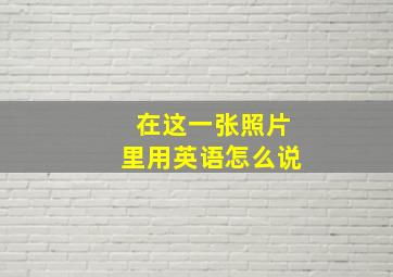 在这一张照片里用英语怎么说