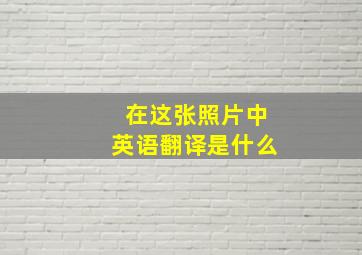 在这张照片中英语翻译是什么