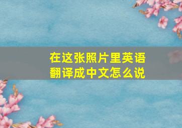 在这张照片里英语翻译成中文怎么说