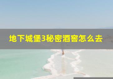 地下城堡3秘密酒窖怎么去