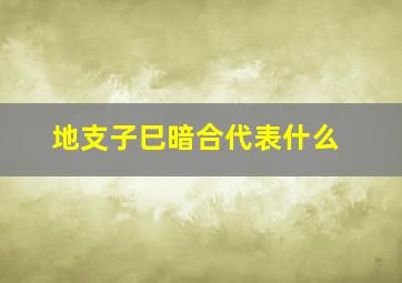 地支子巳暗合代表什么