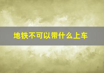 地铁不可以带什么上车