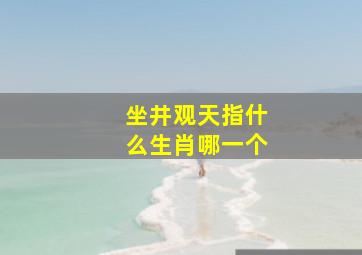 坐井观天指什么生肖哪一个