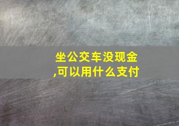 坐公交车没现金,可以用什么支付