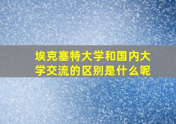 埃克塞特大学和国内大学交流的区别是什么呢