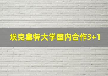 埃克塞特大学国内合作3+1