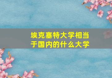 埃克塞特大学相当于国内的什么大学