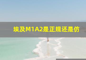 埃及M1A2是正规还是仿