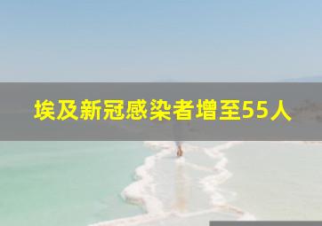 埃及新冠感染者增至55人