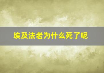 埃及法老为什么死了呢