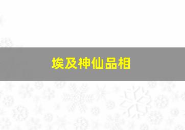 埃及神仙品相