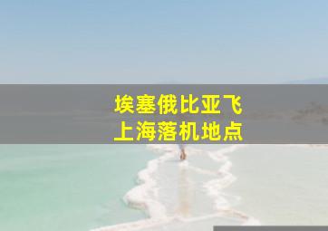 埃塞俄比亚飞上海落机地点