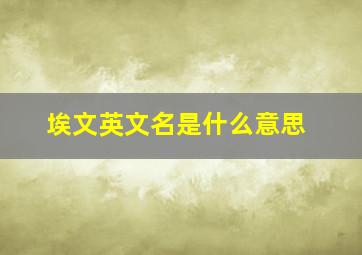 埃文英文名是什么意思