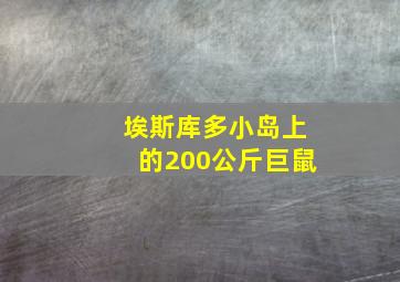 埃斯库多小岛上的200公斤巨鼠