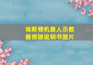 埃斯顿机器人示教器按键说明书图片