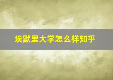 埃默里大学怎么样知乎