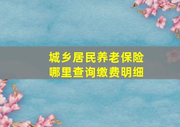 城乡居民养老保险哪里查询缴费明细