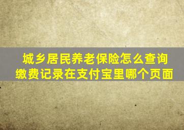 城乡居民养老保险怎么查询缴费记录在支付宝里哪个页面