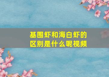 基围虾和海白虾的区别是什么呢视频