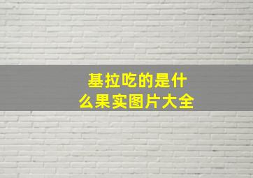 基拉吃的是什么果实图片大全