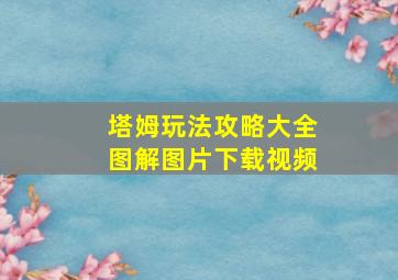 塔姆玩法攻略大全图解图片下载视频