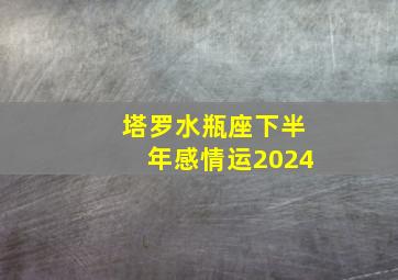 塔罗水瓶座下半年感情运2024