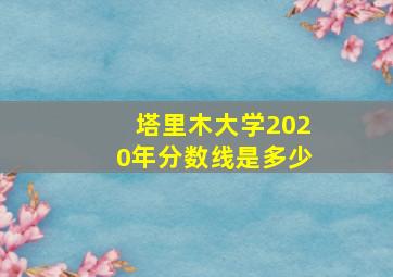 塔里木大学2020年分数线是多少