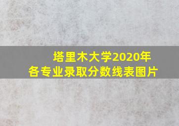 塔里木大学2020年各专业录取分数线表图片